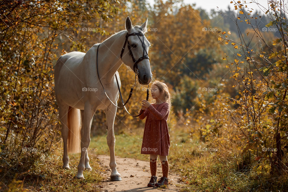 Little girl with grey horse in an autumn park 