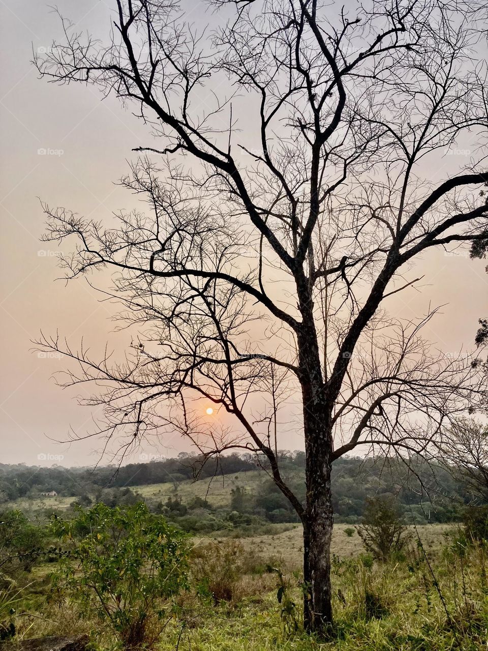 🌇🇺🇸 An extremely beautiful sunset in Jundiaí, interior of Brazil. Cheer the nature! / 🇧🇷 Um entardecer extremamente bonito em Jundiaí, interior do Brasil. Viva a natureza! 