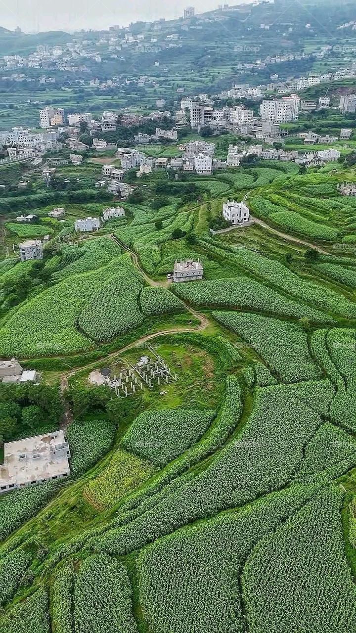 A stunning view of green mountains covered in fog in Yemen
