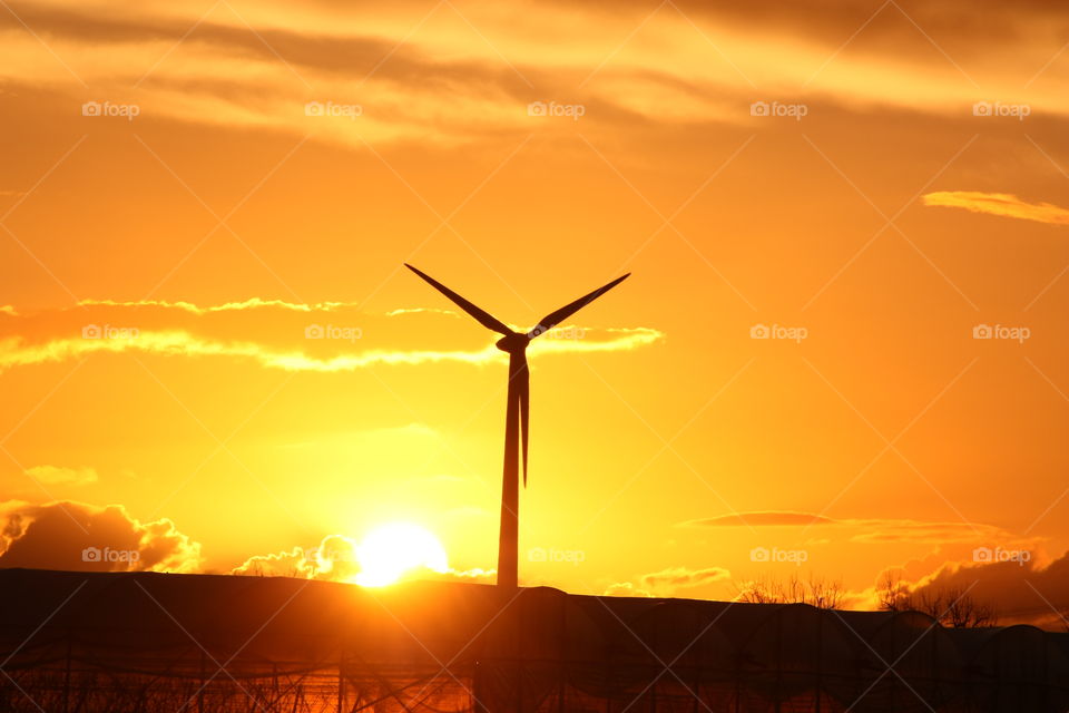 Backlit wind turbine at sunset in Salento, Puglia, Italy. Gold yellow sky.