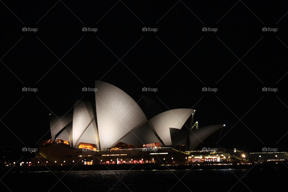 Opera house at night