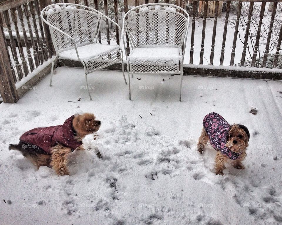 That's enough snow play for now