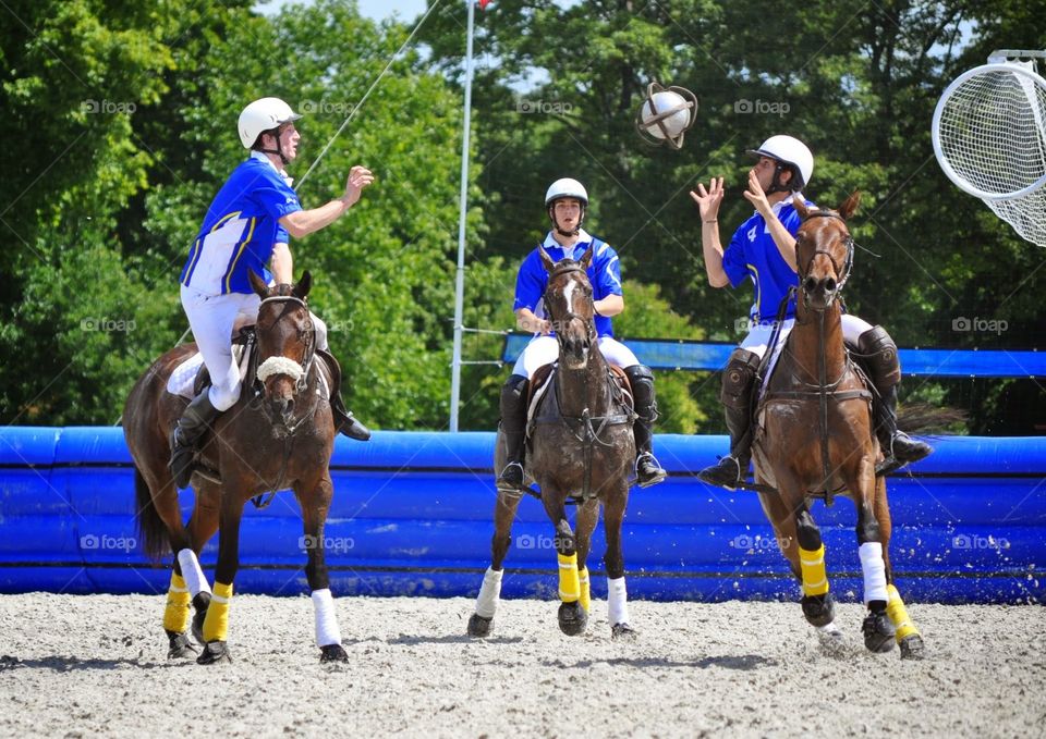 Horse, Action Energy, Competition, Sport, Hurry