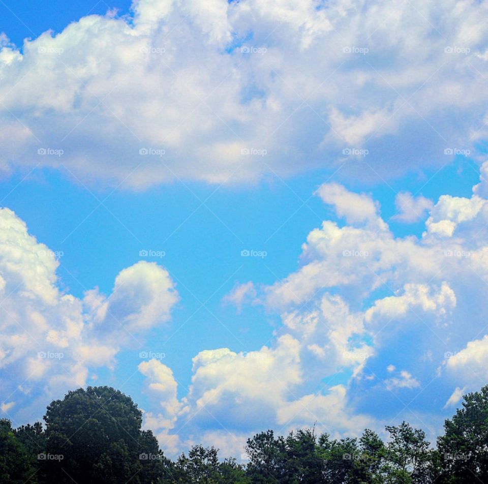 Carolina Clouds 