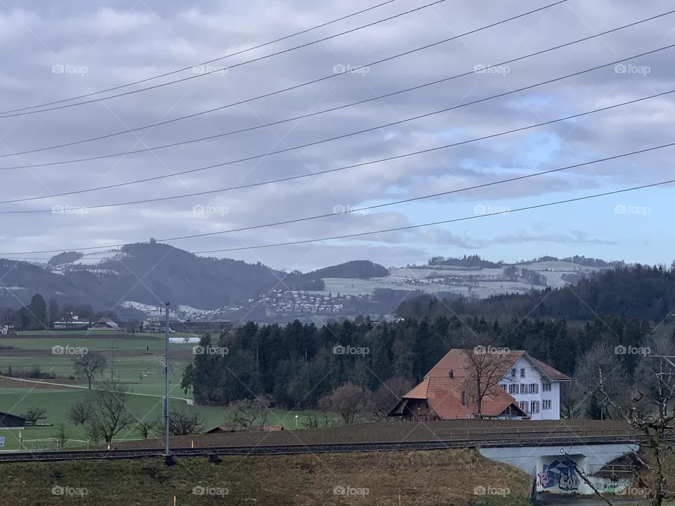 Swiss