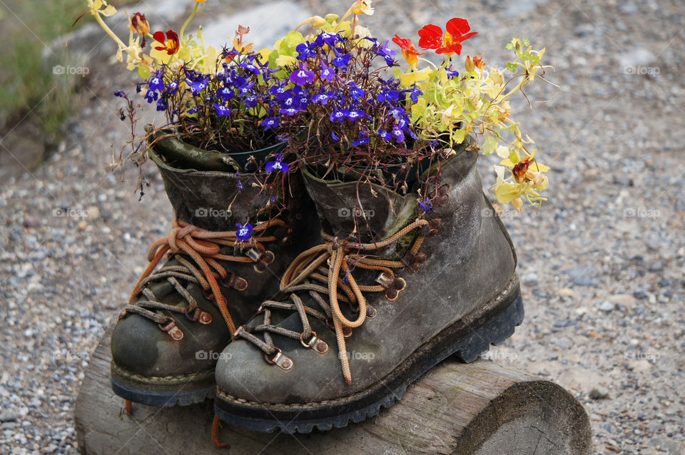 Flowers & Boots