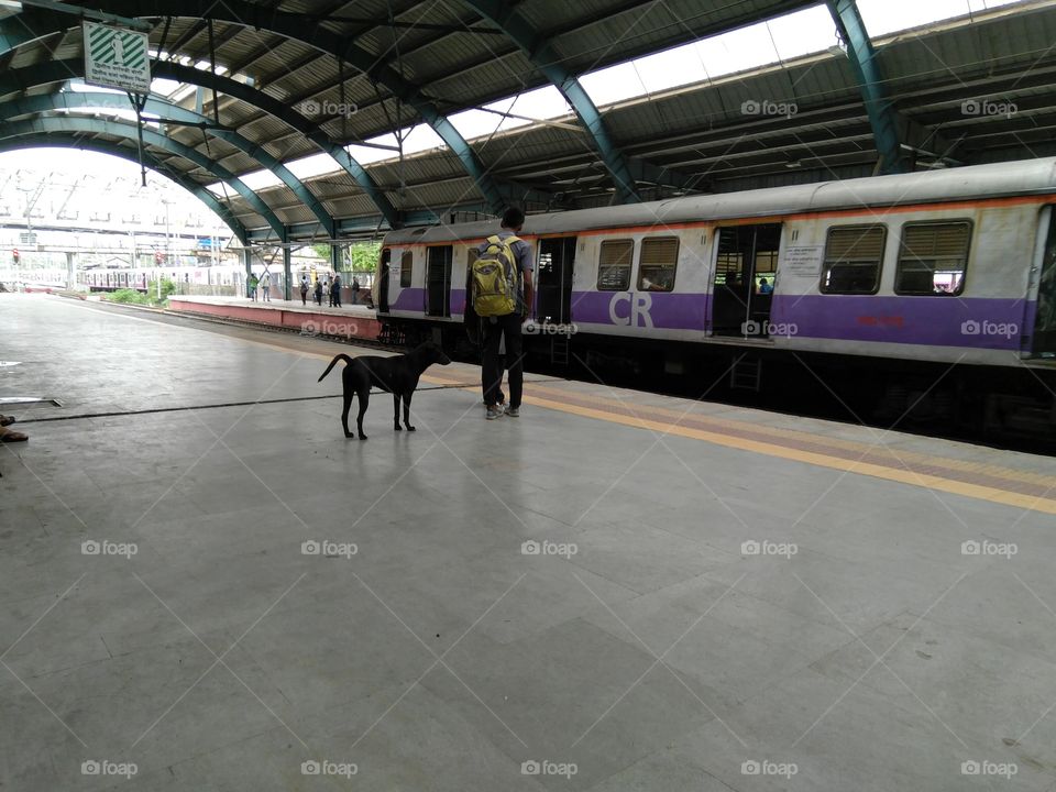 my summer pets dog ... always travales with me