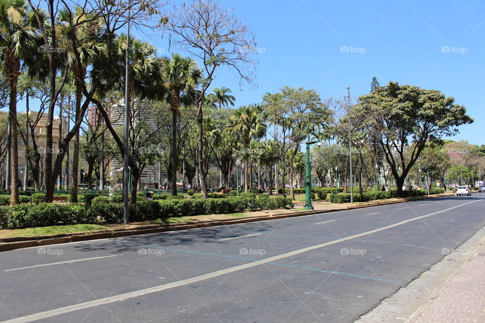 A beautiful sunny day in the park