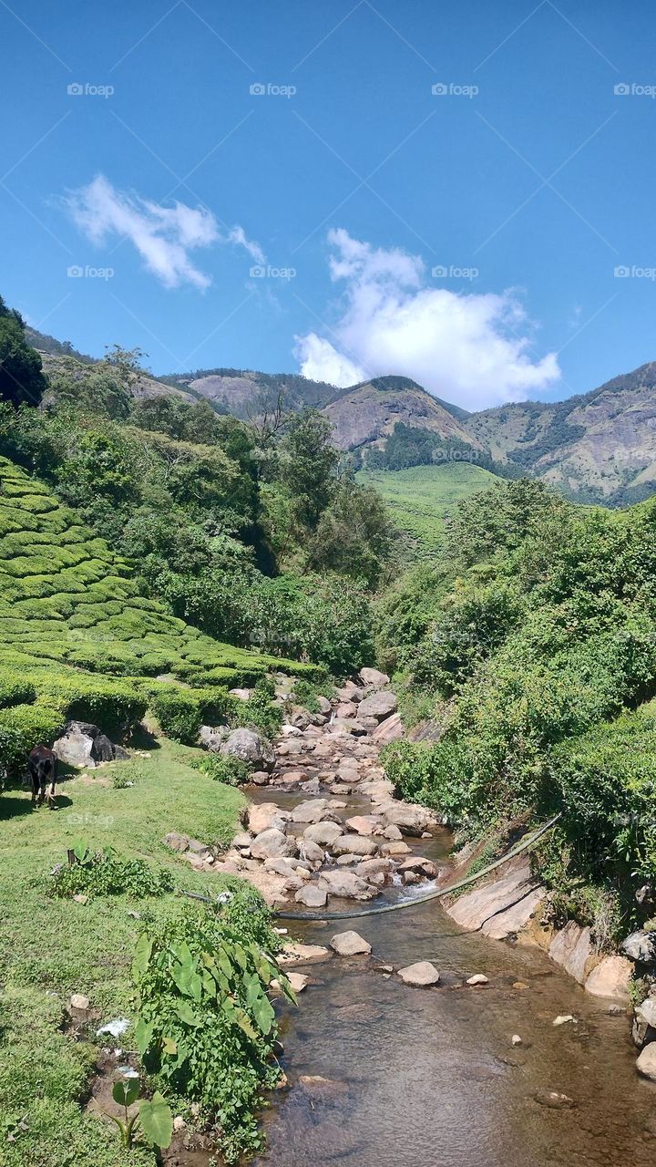 Adopt the pace of nature