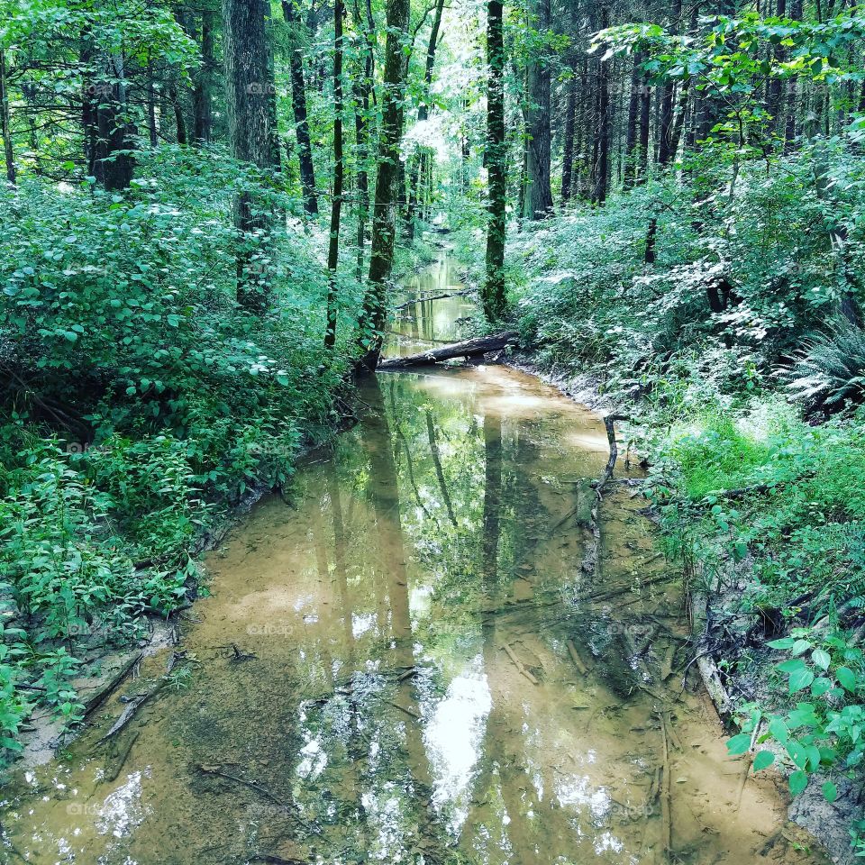 Creek