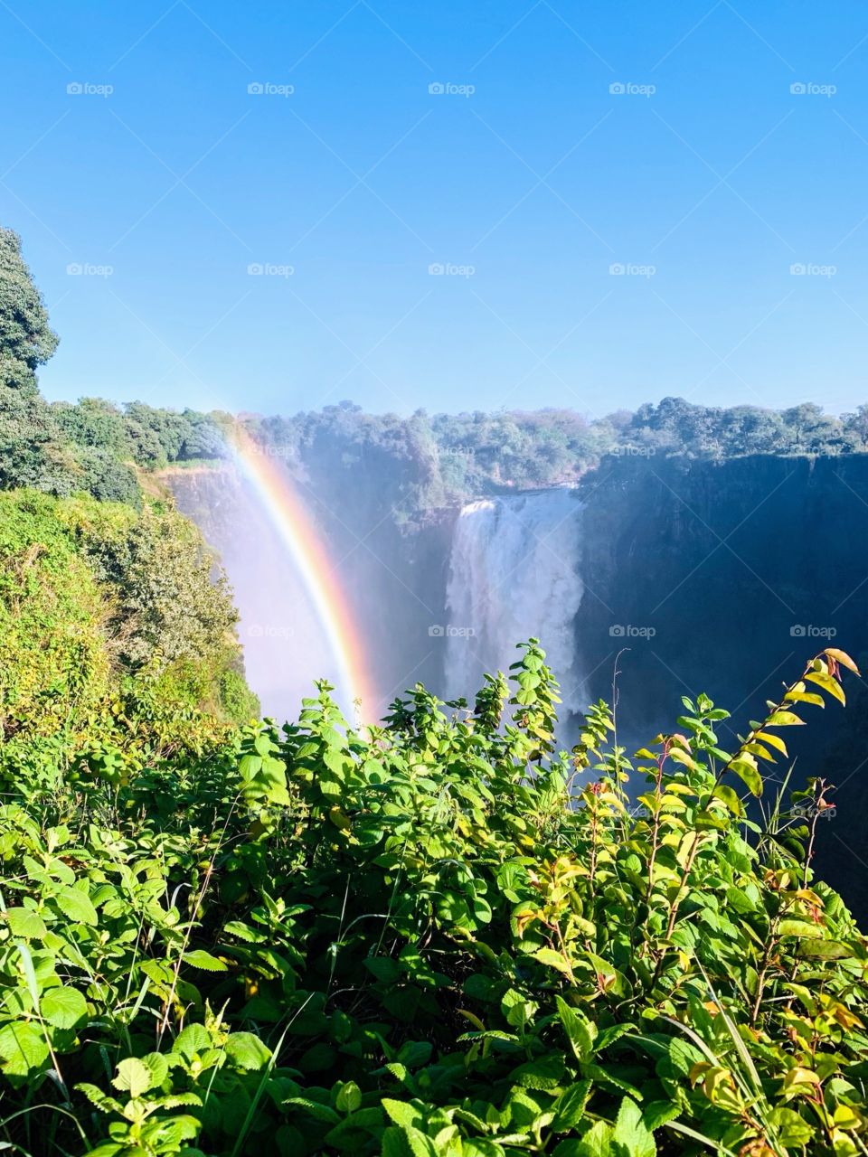 At the Edge of the Rainbow 