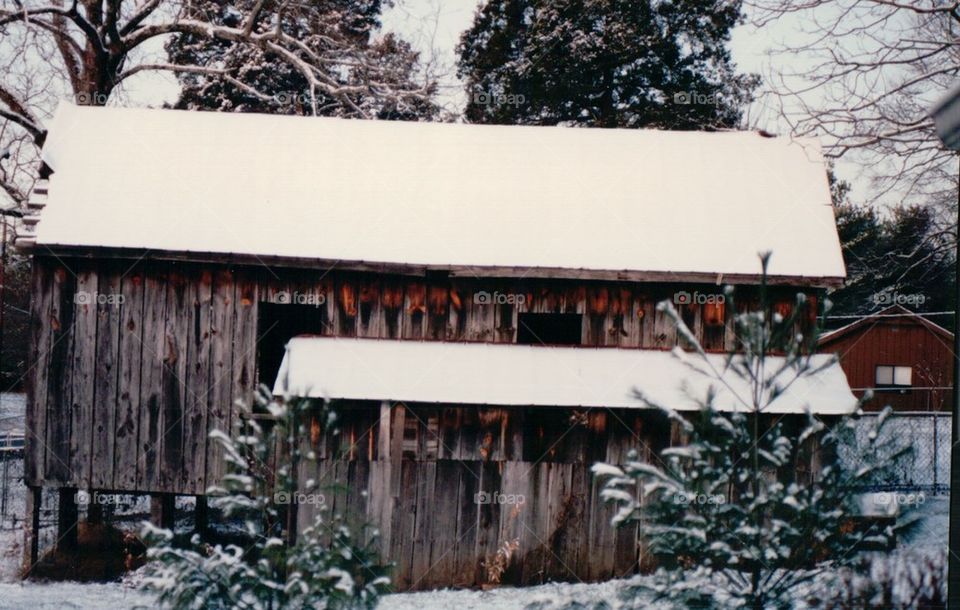 Barn in the snow