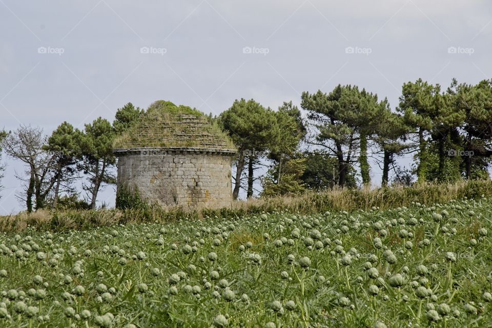 old house in the countryside
