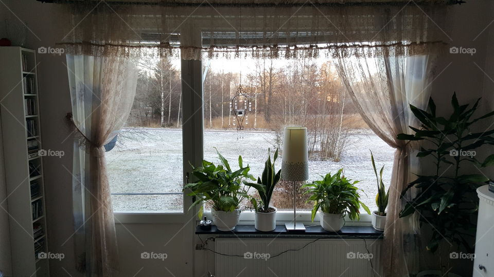 livingroom window