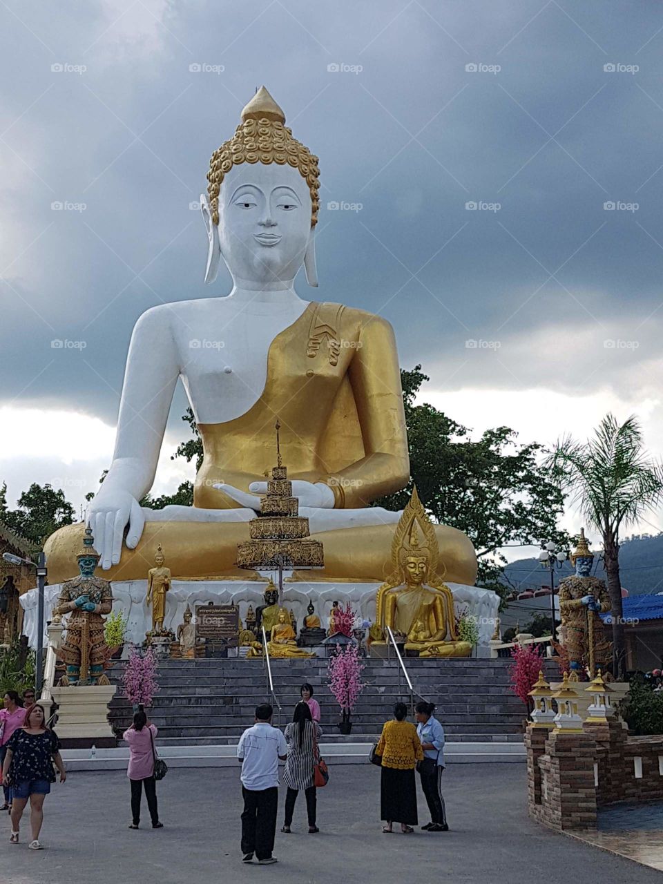 buddha
buddha statue