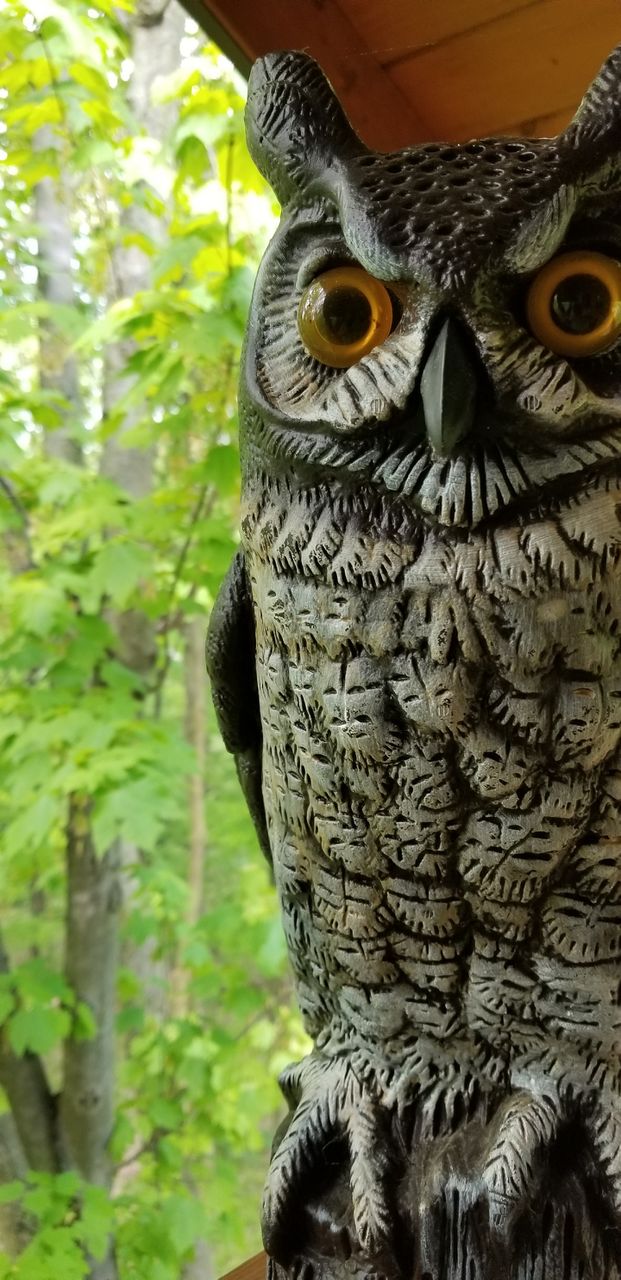 who