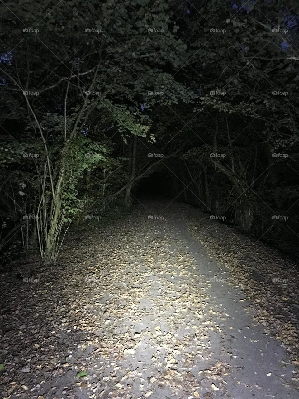 Spooky lane