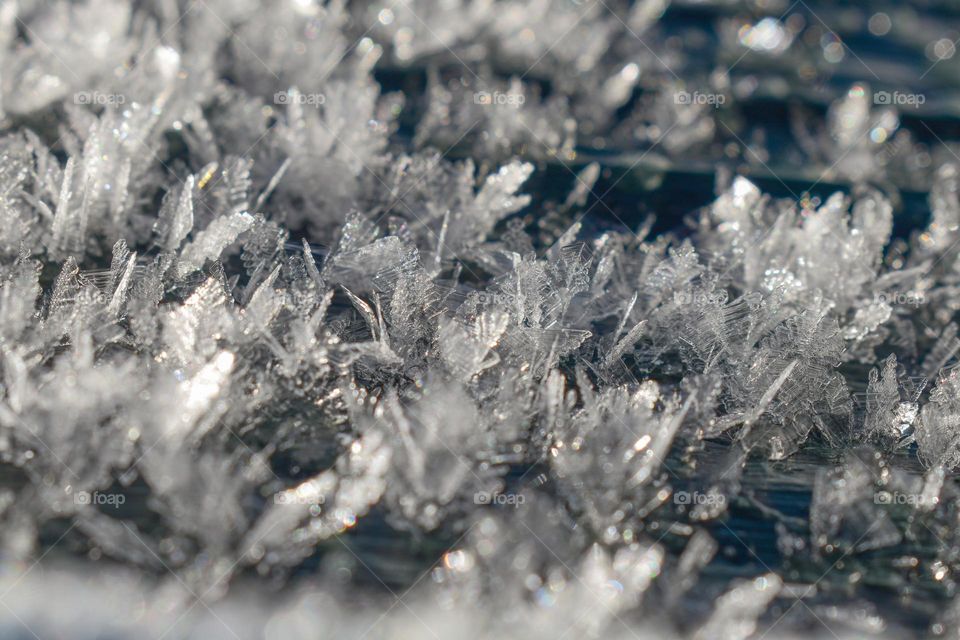 ice crystal forest form due to extreme cold temperature