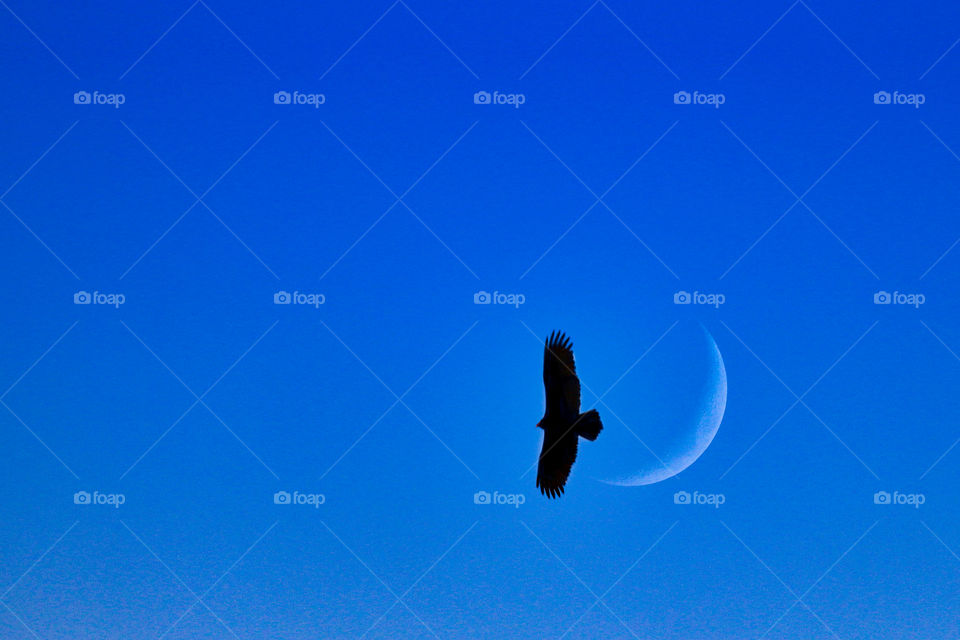 To the Moon and back