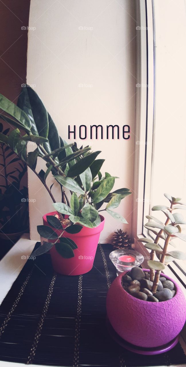homme