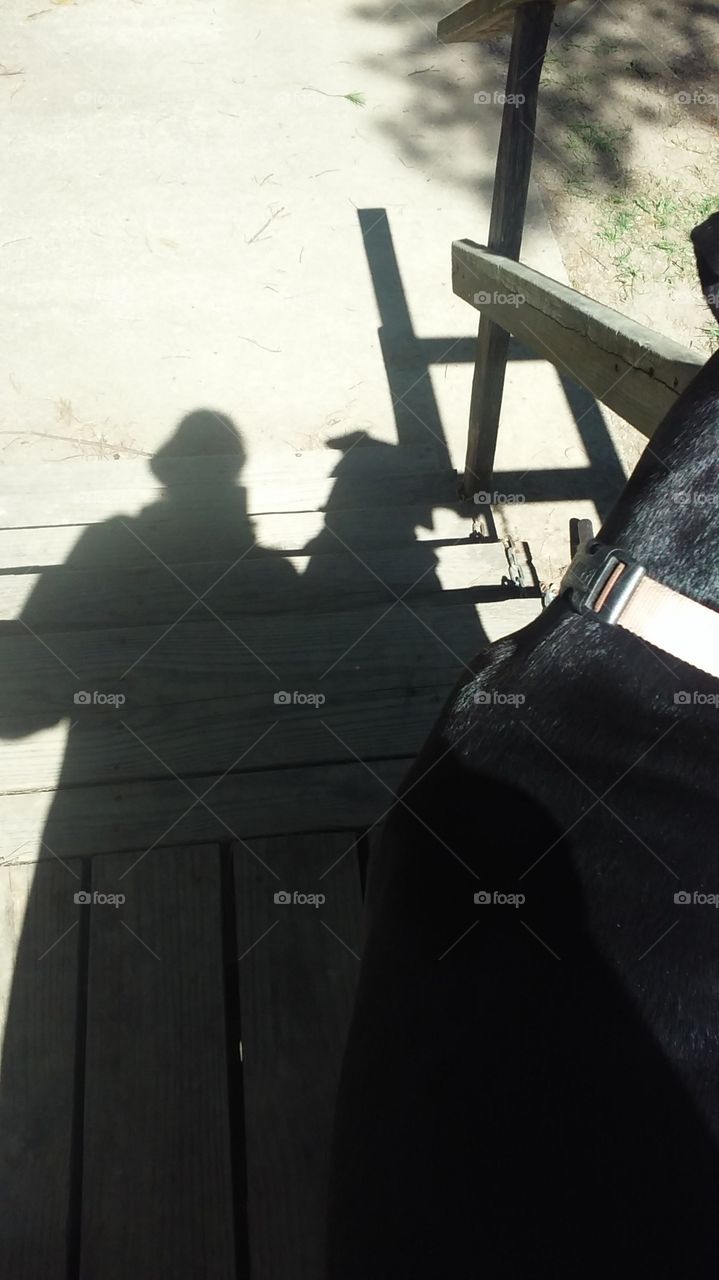 My point of view in the early morning sun as it casts our shadows. My and my dog.