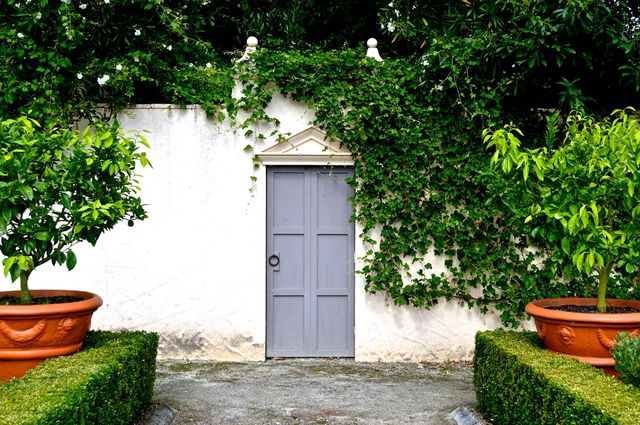 Garden path 