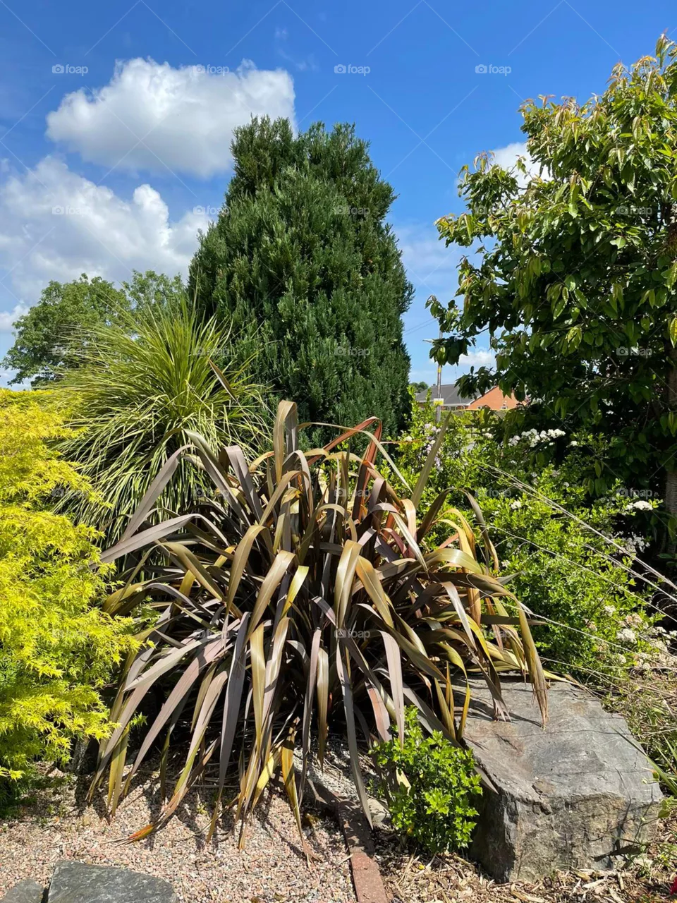 Summer Garden gardening