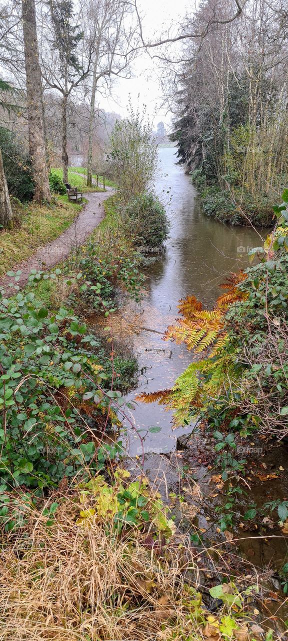 A stream in tilgate park