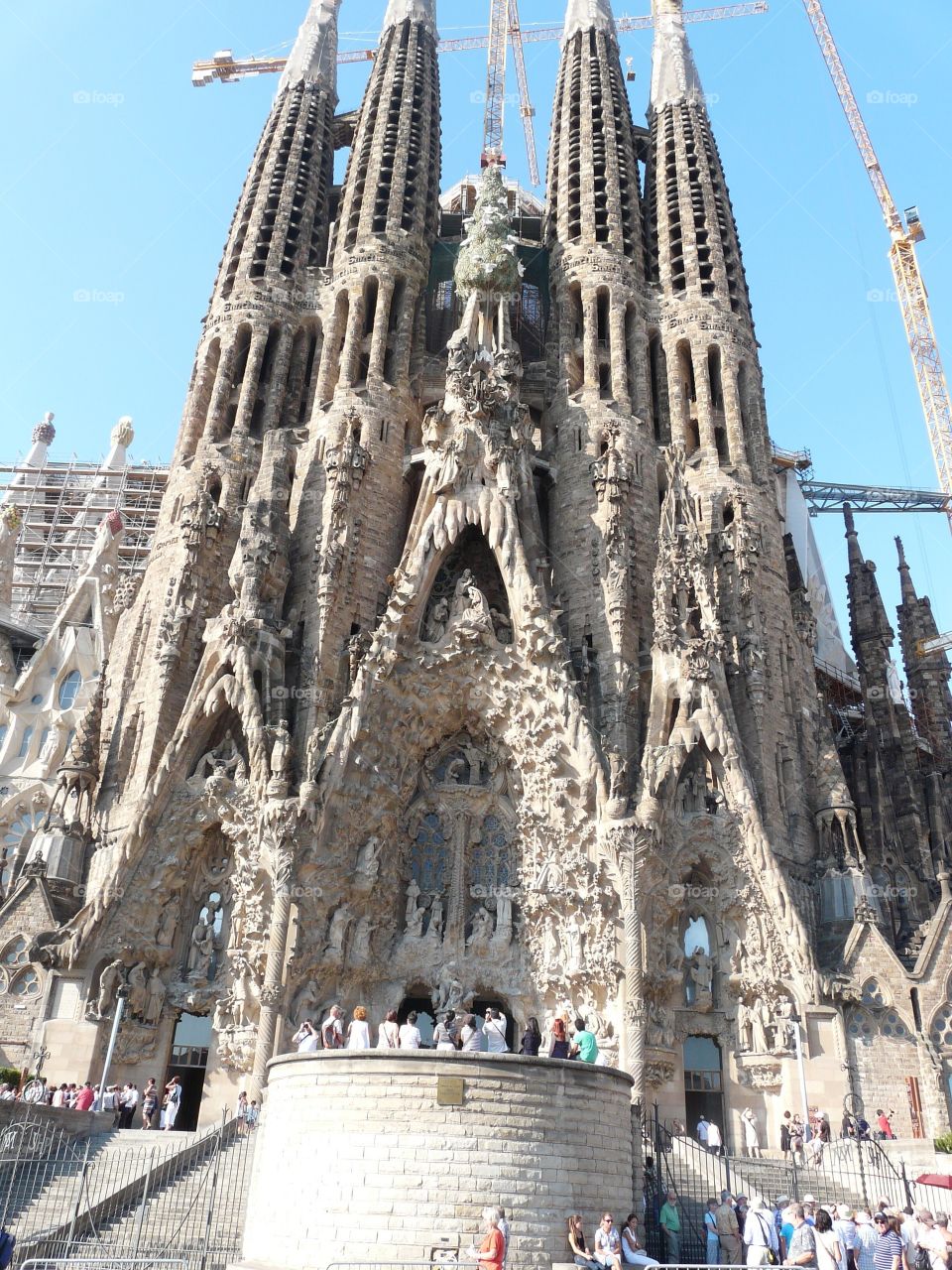 Catherdral of Our Lady of Paris