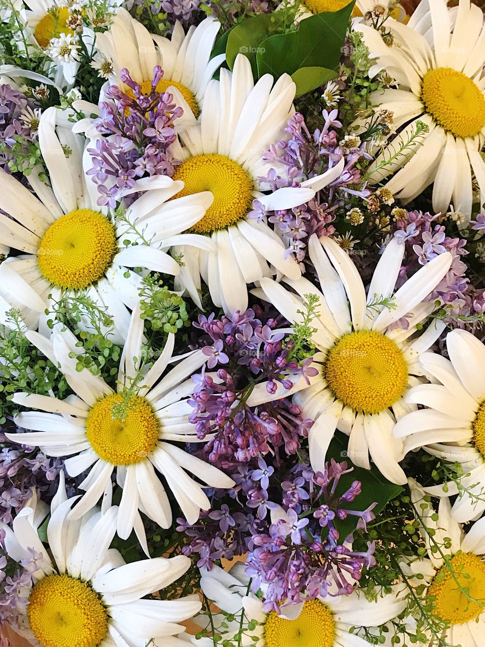 Beautiful summer bouquet with chamomiles and lilac nature background 