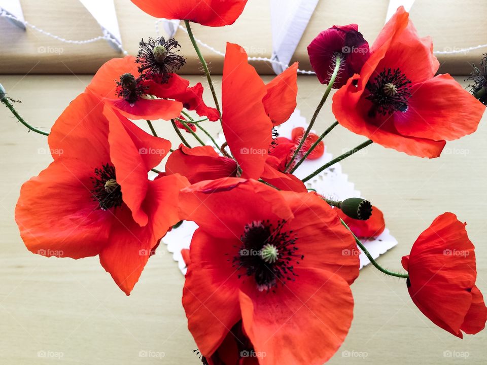 Red color story. Poppies 