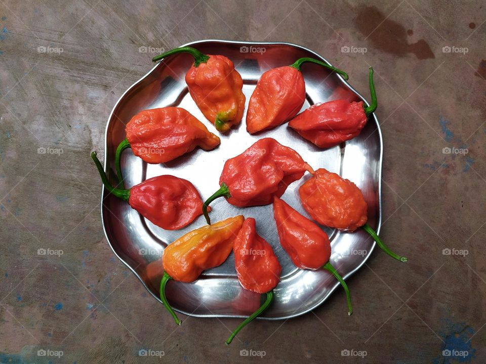 Bhut Jolokia or Ghost Pepper