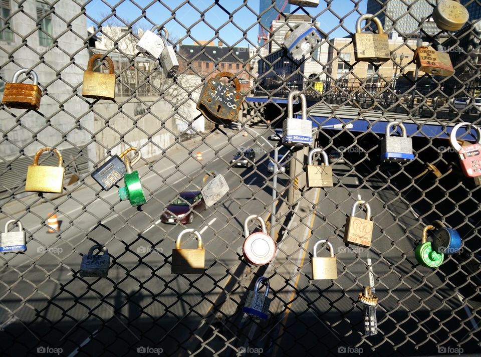 Web, Iron, Wire, Cage, No Person