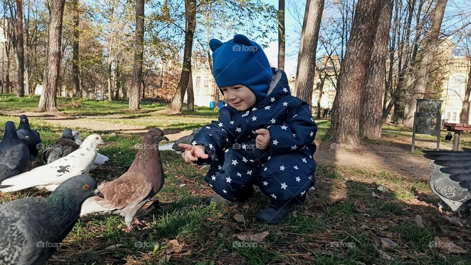 kid feeding the birds in the park