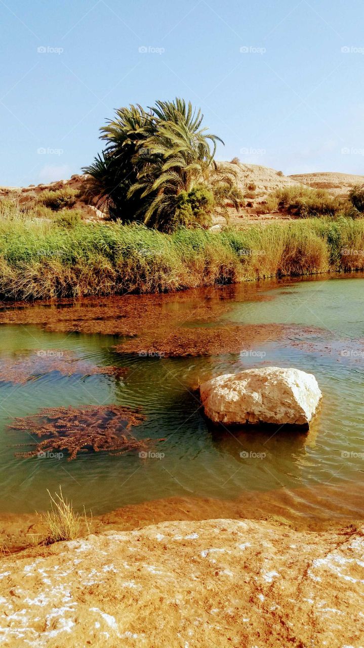 Wargnoun river in the South East of Tighmert,a village in the region of Guelmim,Morocco