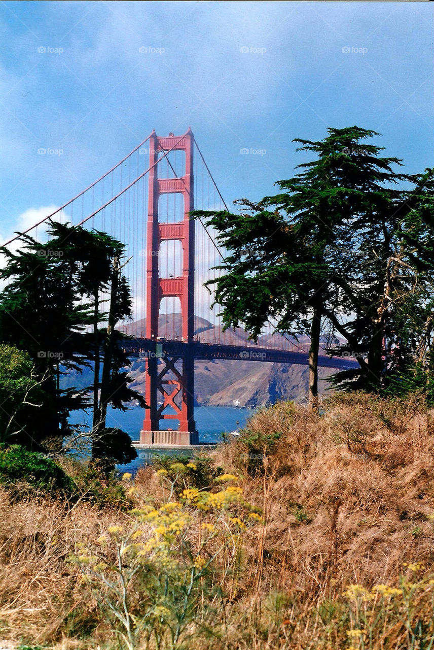 Golden Gate Bridge from the park