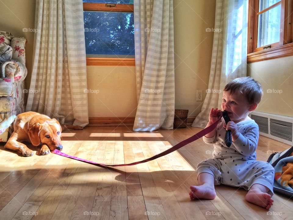 Cut boy holding dog's leash