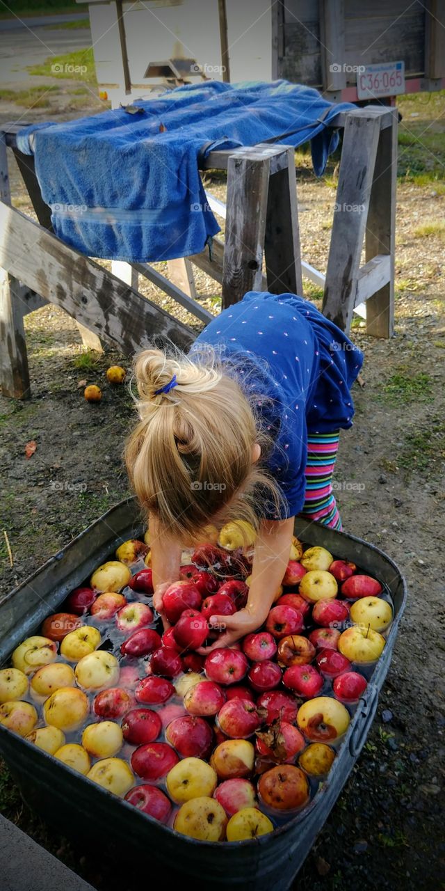 Apple Sorting