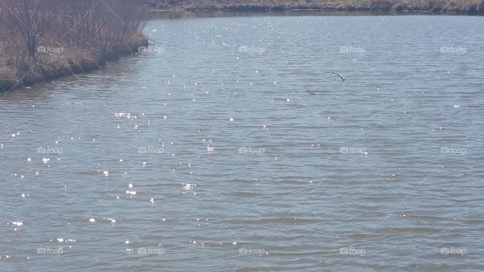 Water at the park. Beautiful day