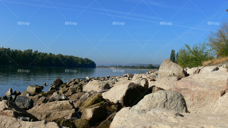 Rhein
