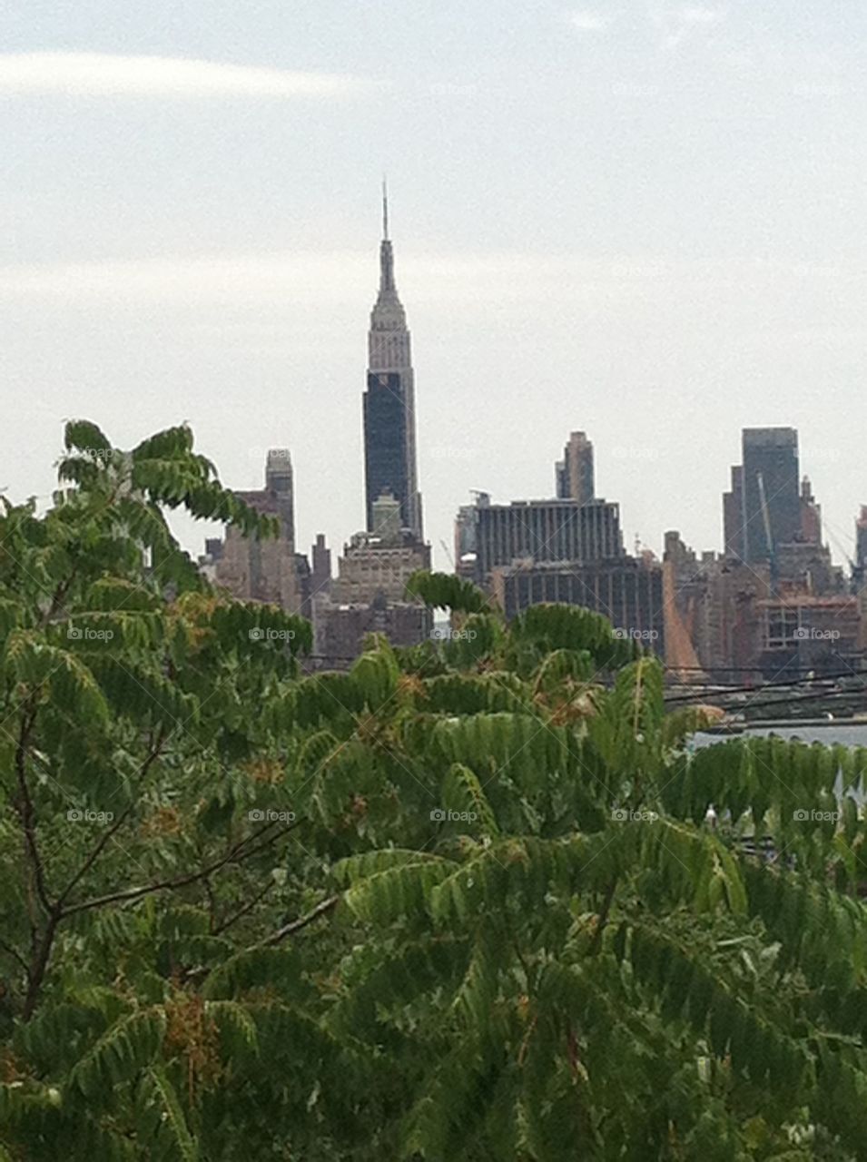 Empire State thru trees