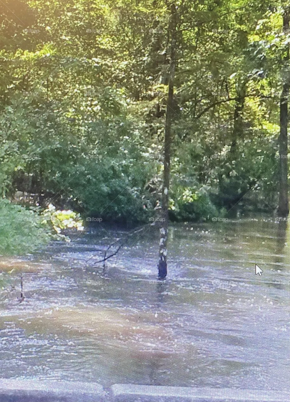 River water is high 