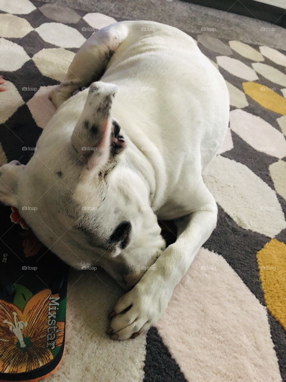 When she lets one out’ and can’t stand the smell 😂