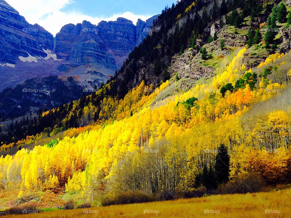 Aspen