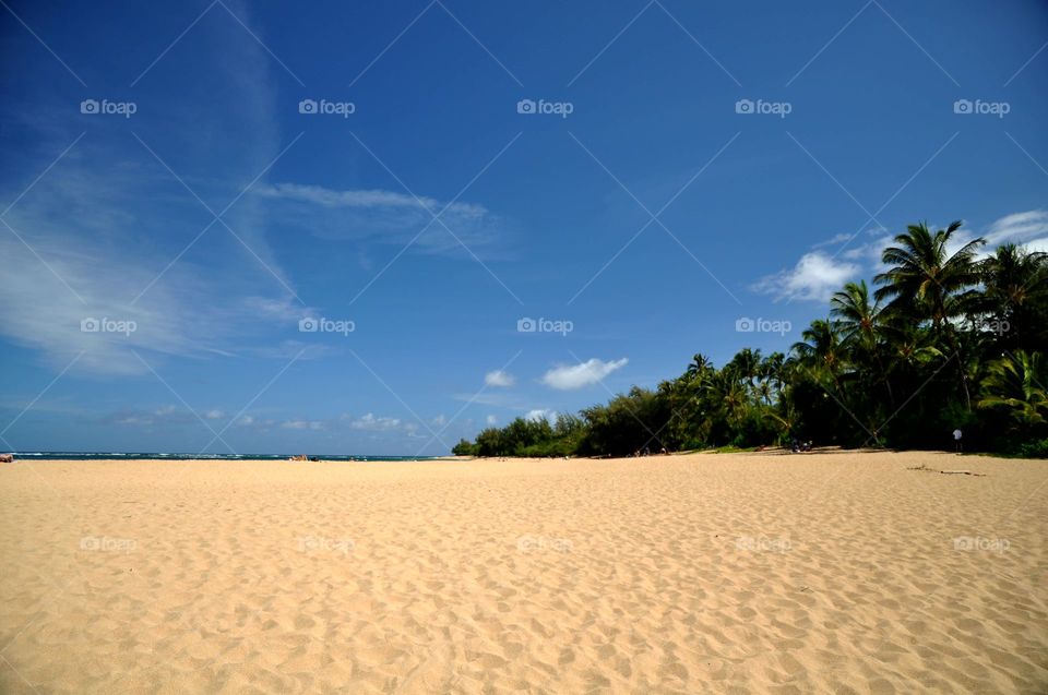 Sandy beach