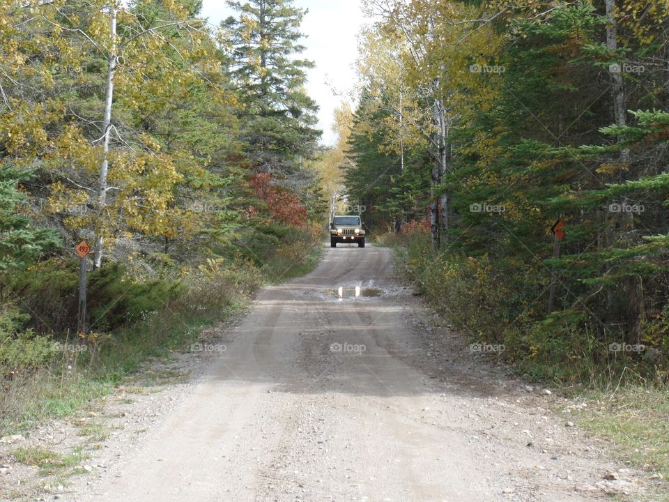 Drummond Island, Michigan 