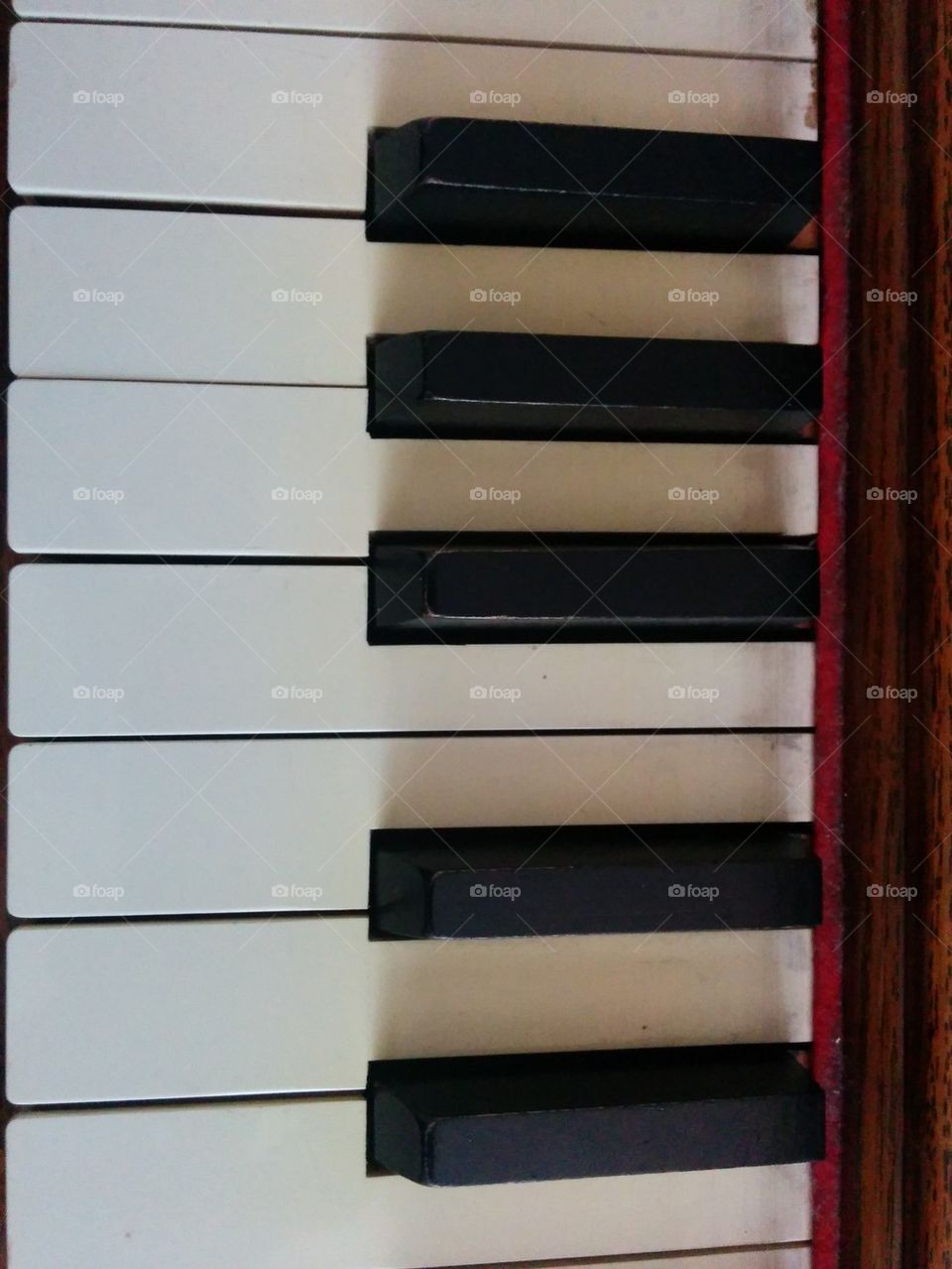 Mini Piano Keys