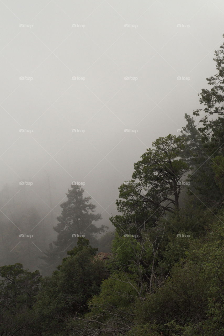 Carr Canyon Huachuca mountains Hereford Arizona. foggy valley