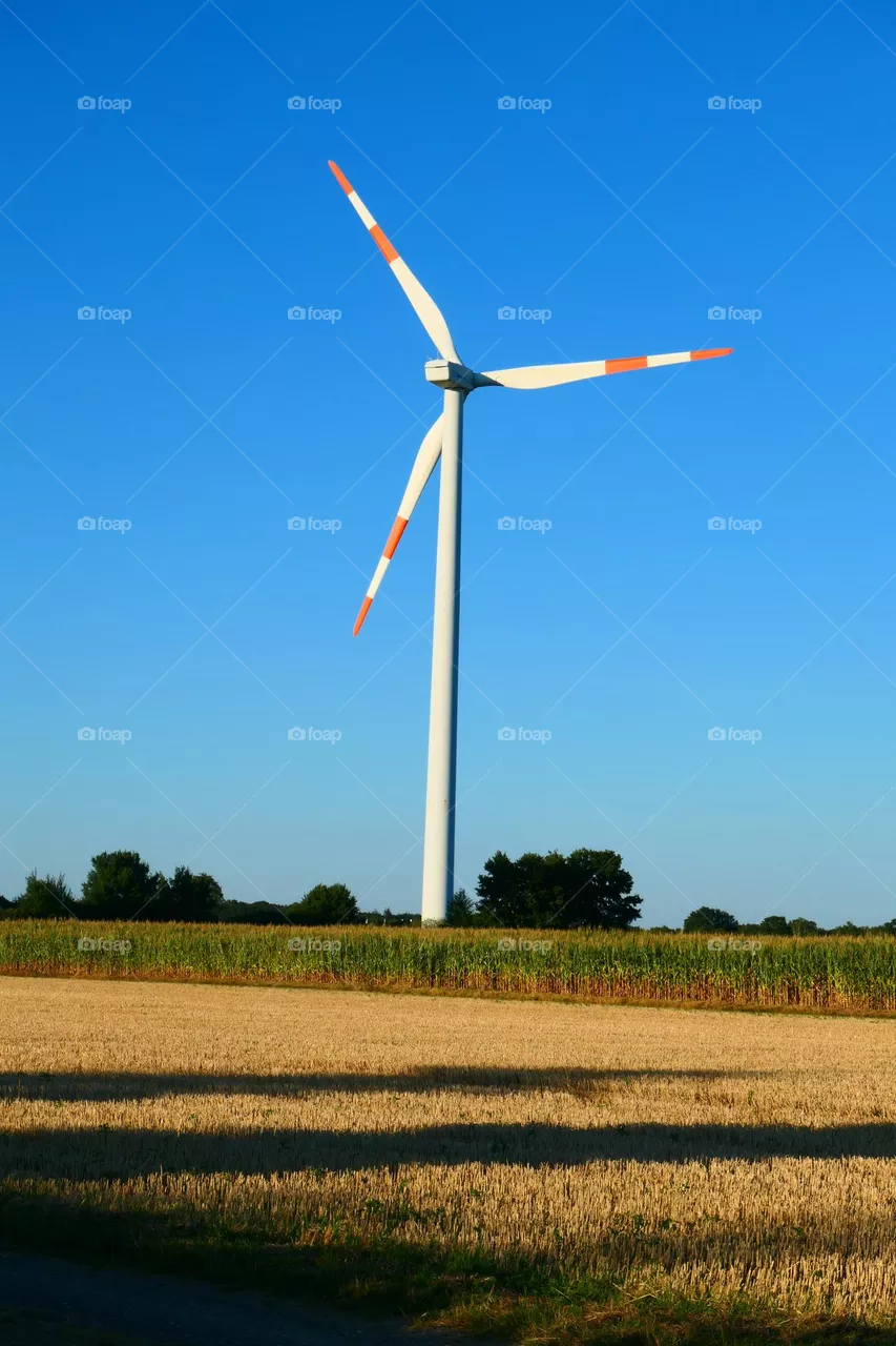 Windenergie