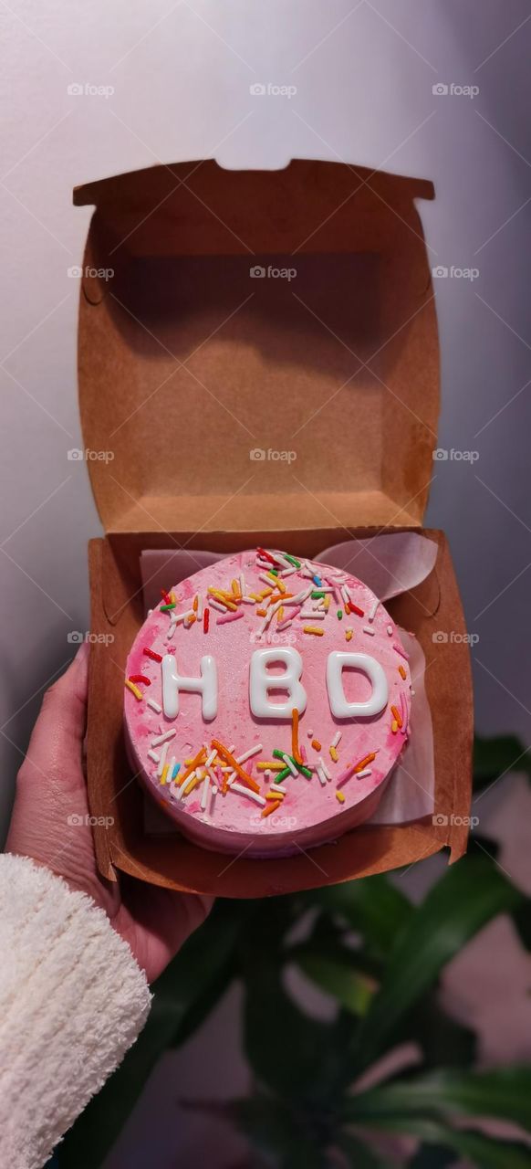 Pink Birthday Lunch cake